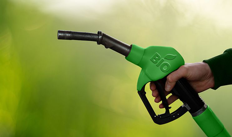 Iniciativas sustentables en EcoGas